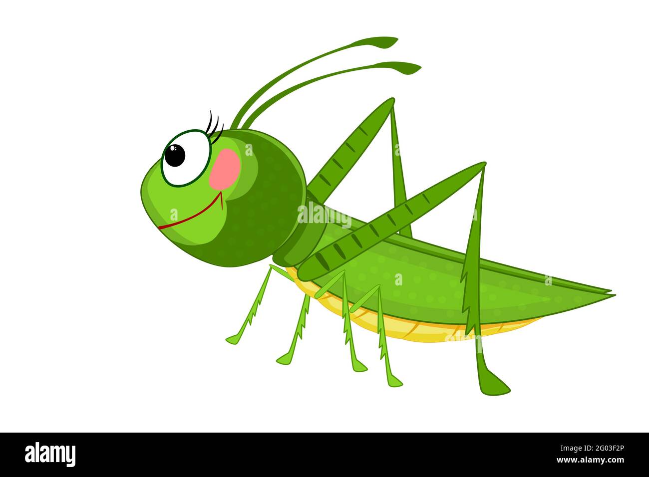 Cartoon grasshopper isolated on white background. Green cricket. Cute  insect mascot. Lovely bug icon. Bug icon. Friendly   illustration Stock Vector Image & Art - Alamy