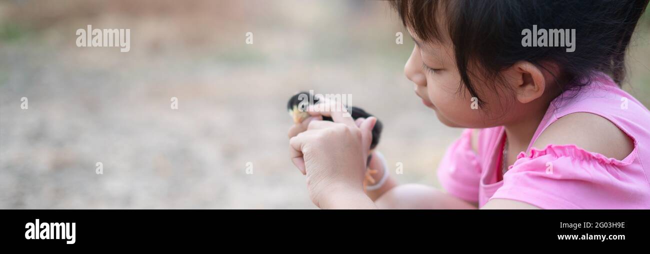 Cute little child girl holding a baby chick in her hand with love and happy Stock Photo