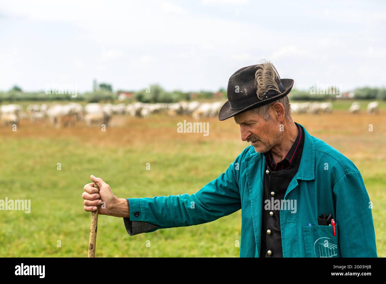 Portrait of a traditional grey cattle herding shepherd from rural Hungary Stock Photo