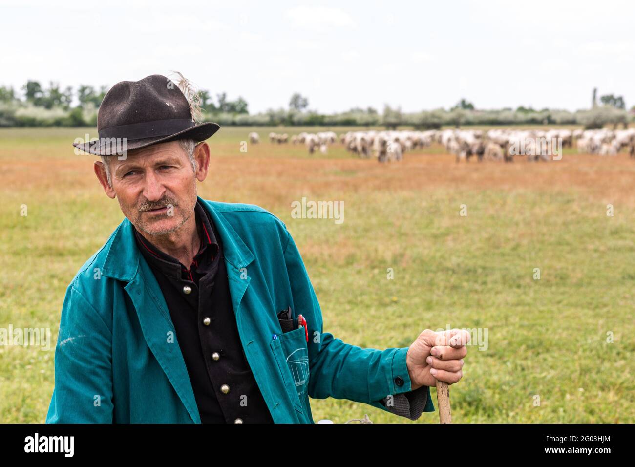 Portrait of a traditional grey cattle herding shepherd from rural Hungary Stock Photo