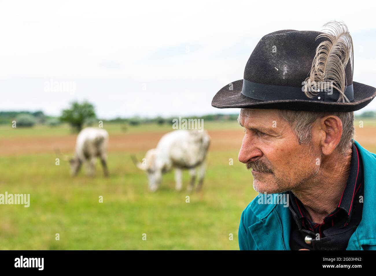 Portrait of a traditional grey cattle herding shepherd from rural Hungary Stock Photo