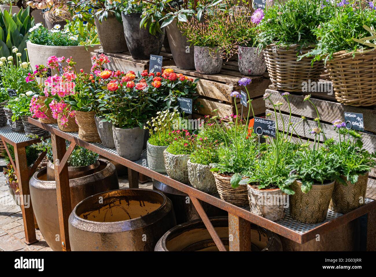 Multicolored flower in pots and empty big pots for sale outdoor in stand of flower shop. Stock Photo