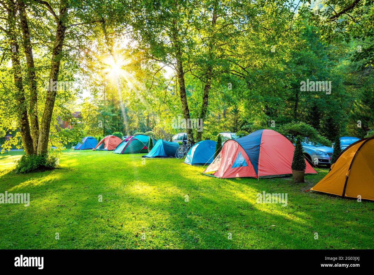 Tents Camping area, early morning. Be Happy! Natural area with big trees  and green grass Stock Photo - Alamy