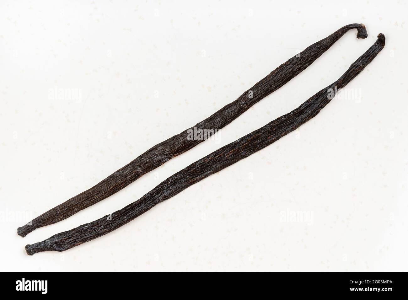 top view of two different whole vanilla beans (tahitian vanilla and bourbon vanilla) on white plate Stock Photo