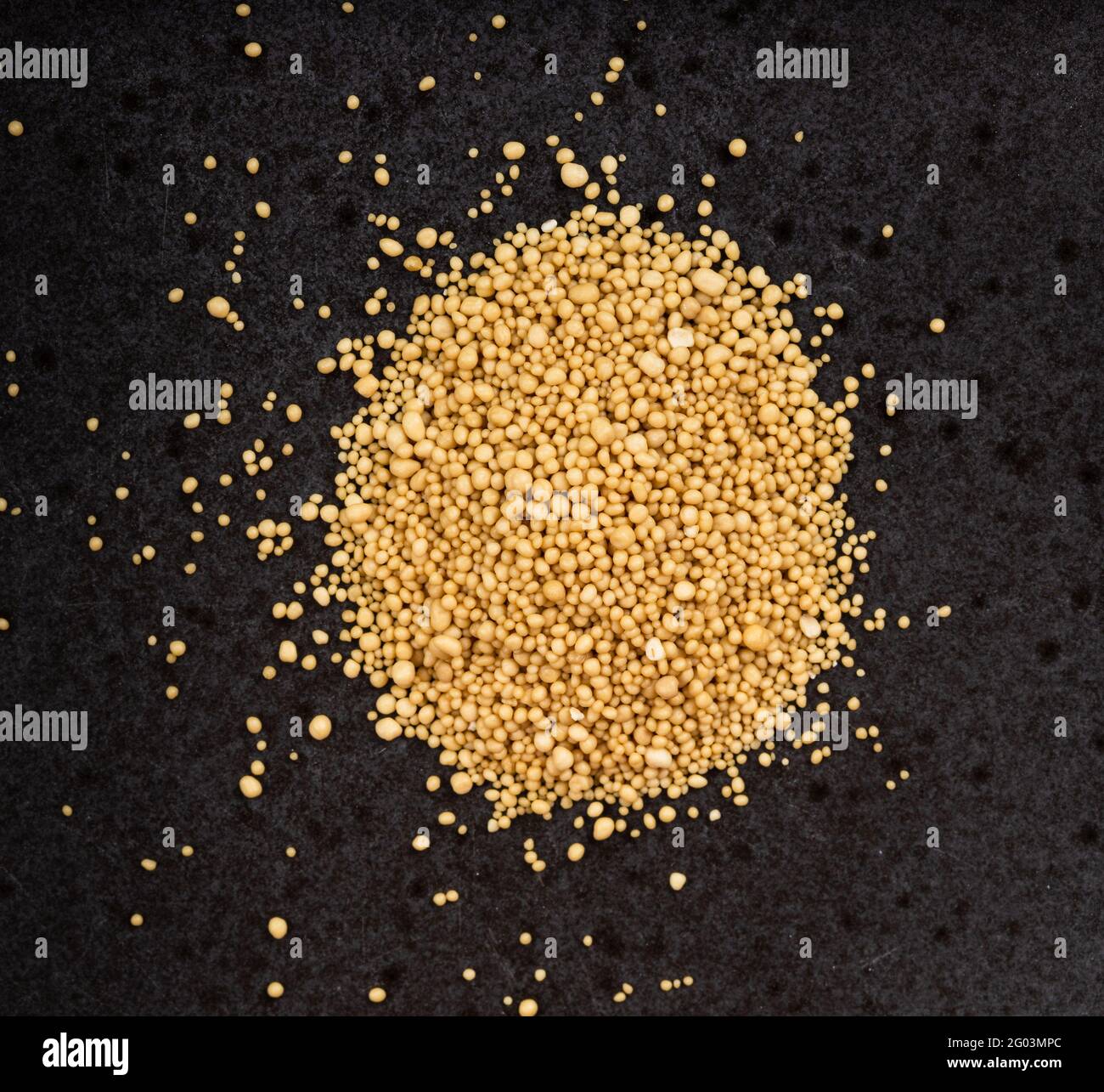 top view of pile of granulated dried yeast close up on black ceramic plate Stock Photo