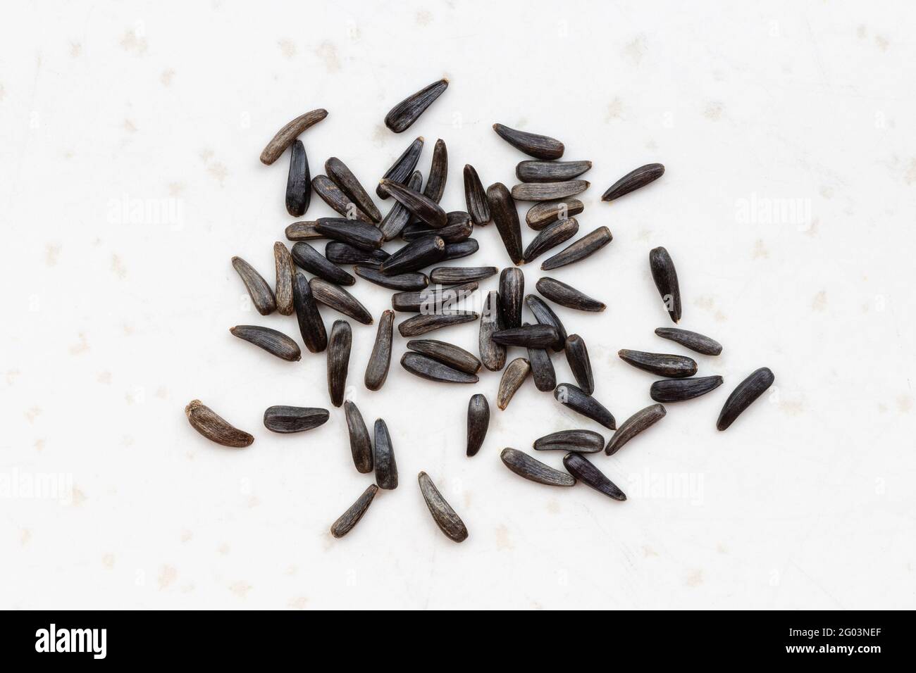 several whole-grain niger seeds (Guizotia Abyssinica) close up on gray ceramic plate Stock Photo