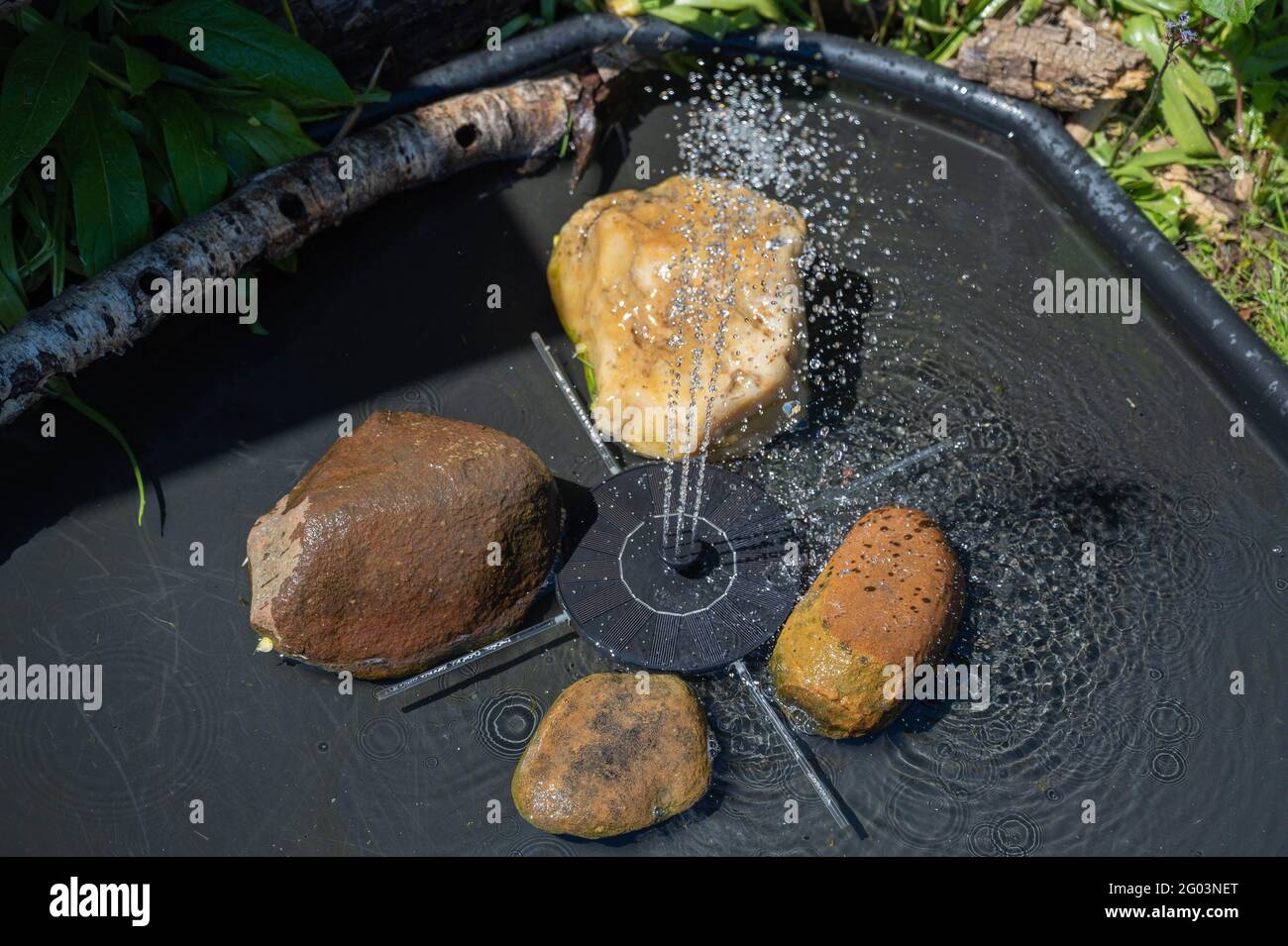 Builders mixing tray being used as a small water feature with solar