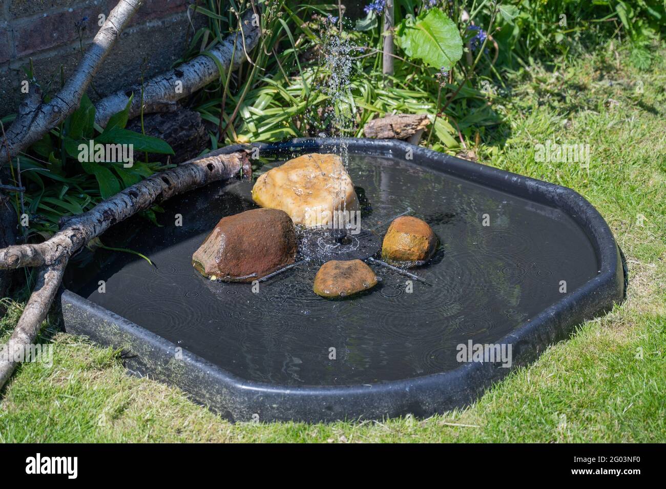 Builders mixing tray being used as a small water feature with solar water  fountain with rocks in a small english garden Stock Photo - Alamy