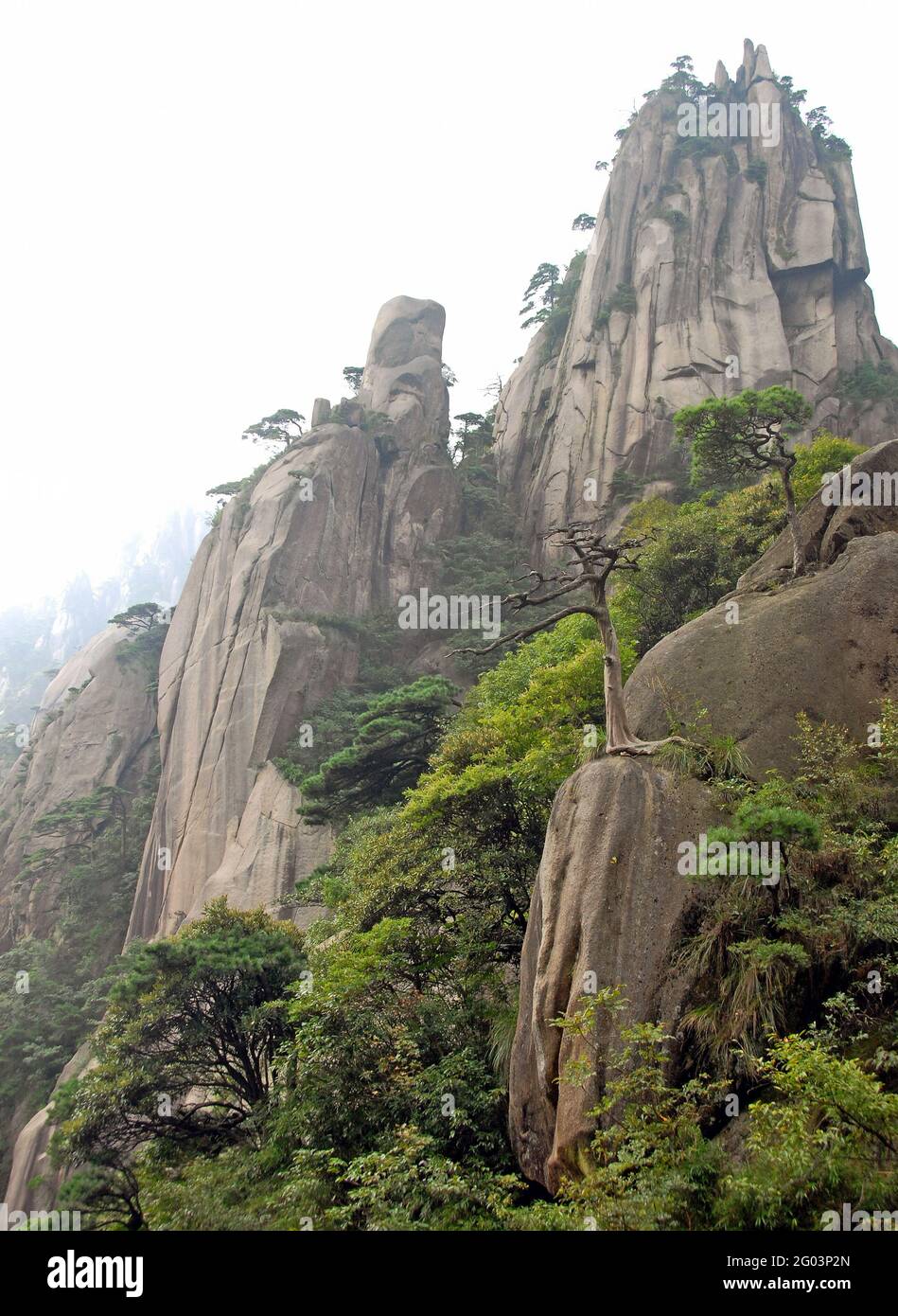 Sanqingshan Mountain in Jiangxi Province, China. Misty mountain scenery  with rocky peaks on Mount Sanqing. Sanqingshan is a sacred Taoist mountain  Stock Photo - Alamy