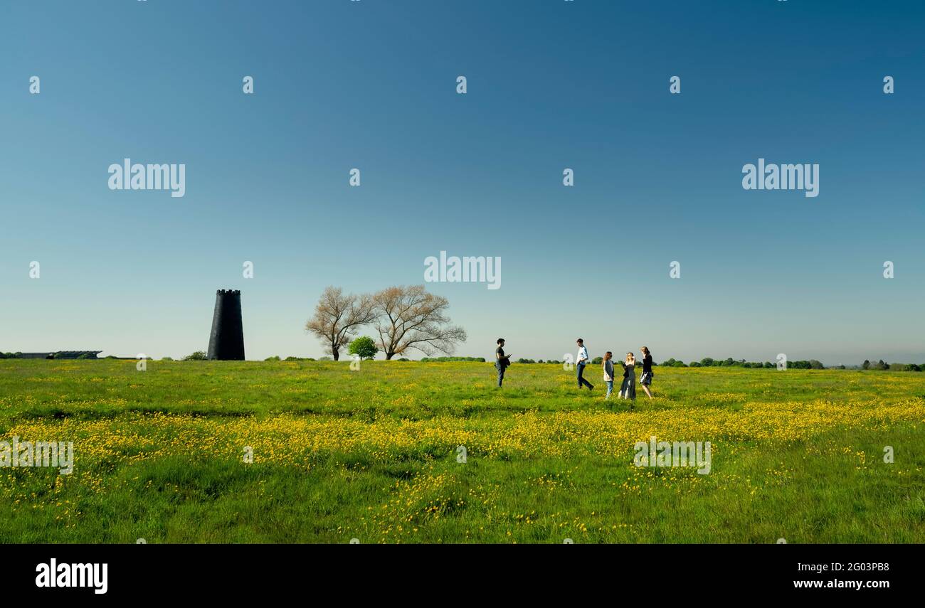 People enjoy open pasture with wild flowers in full bloom and with disused mill as backdrop on a fine spring evening in Beverley, Yorkshire, UK. Stock Photo