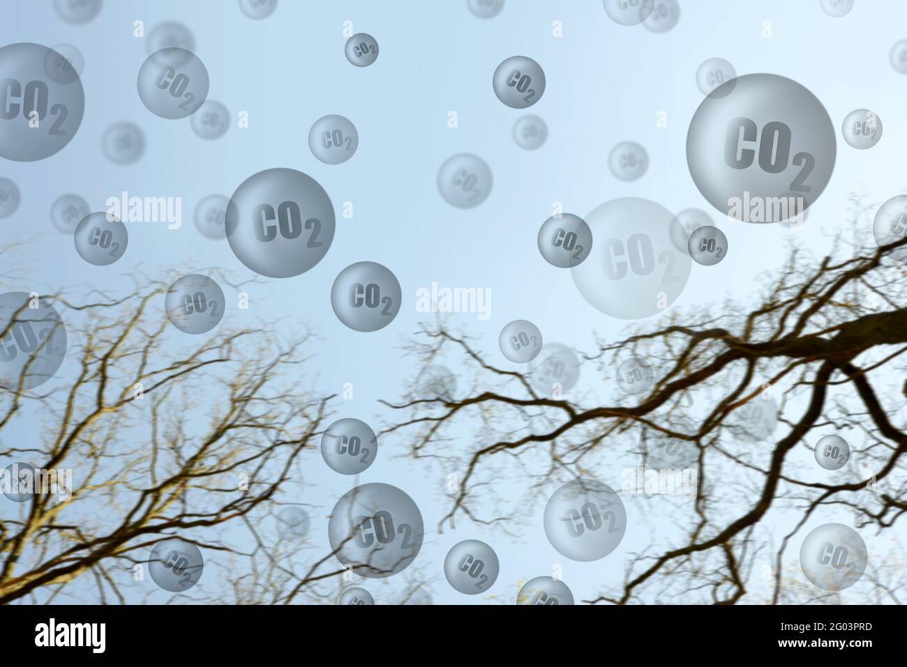 Branch of dead tree and bubbles of CO2. Global warming or change