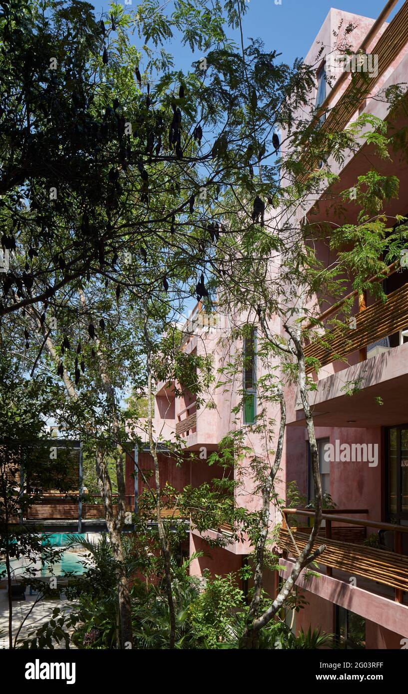 Apartment facades. Tulum Apartments, Tulum, Mexico. Architect Reyes Rios + Larrain Studio