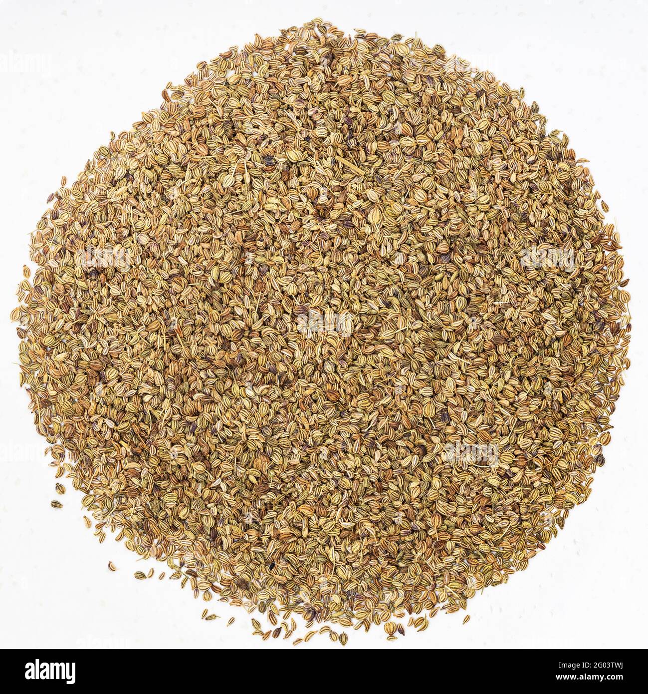 Ajwain Seeds English