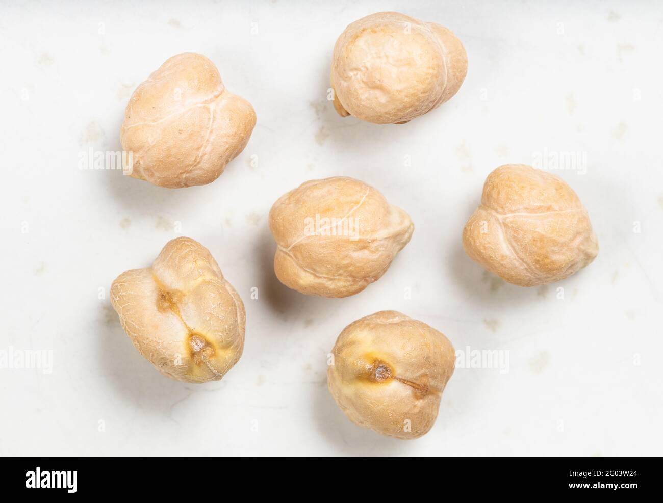 several raw dried chickpea seeds close up on gray ceramic plate Stock Photo