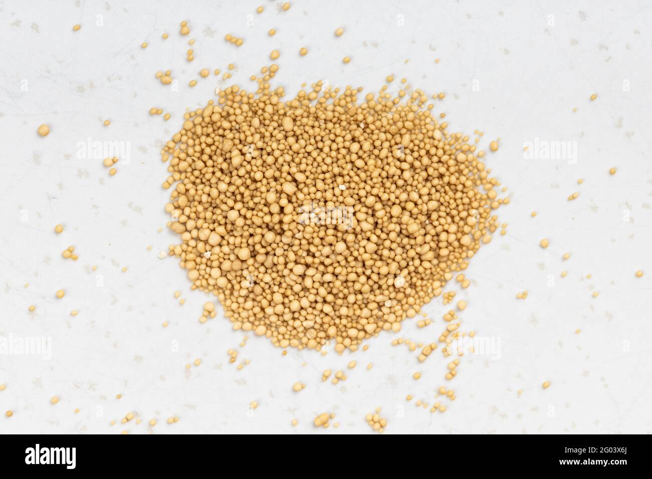 top view of pile of granulated dried yeast close up on gray ceramic plate Stock Photo