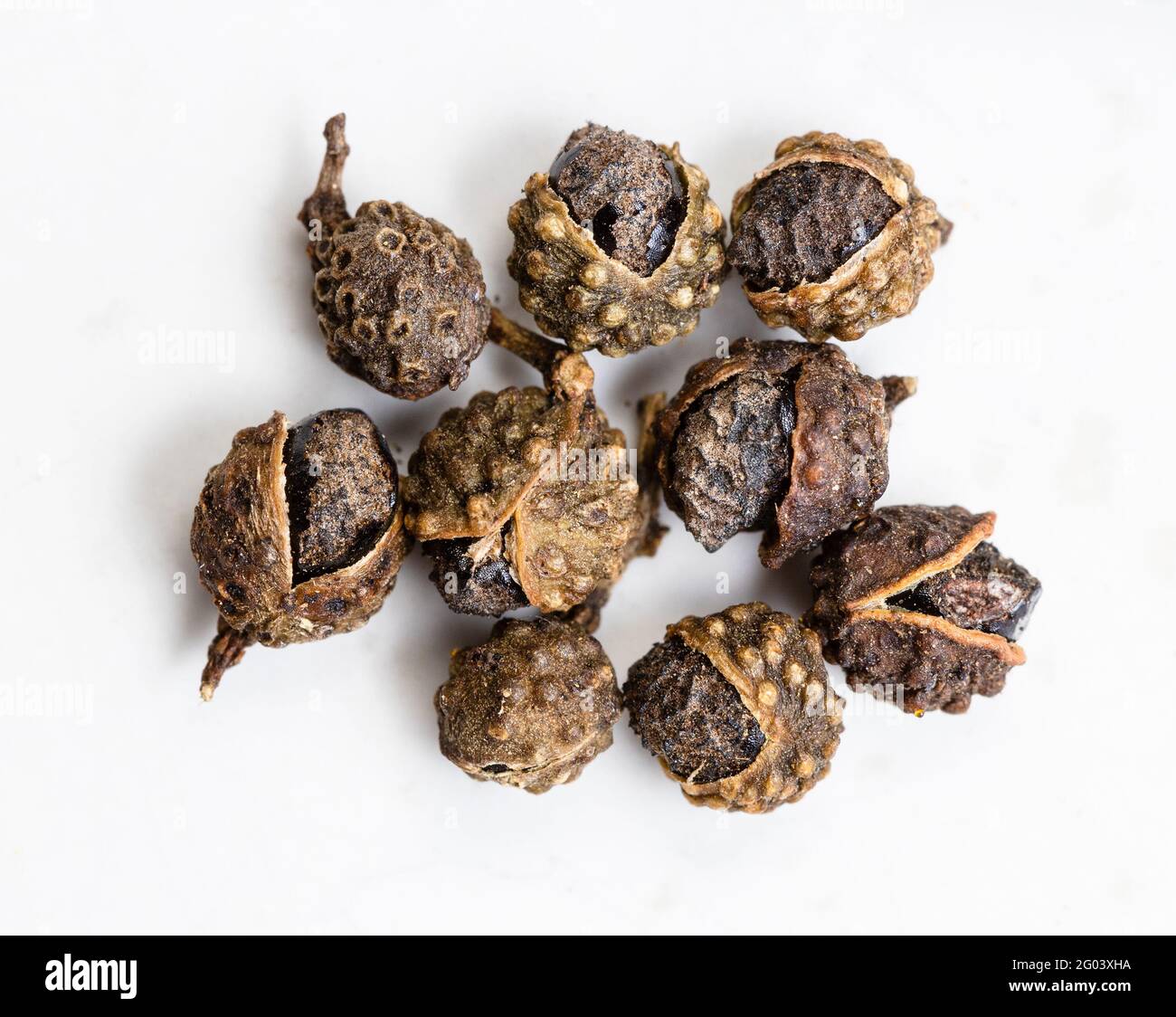 few dried sichuan pepper peppercorns close up on gray ceramic plate Stock Photo