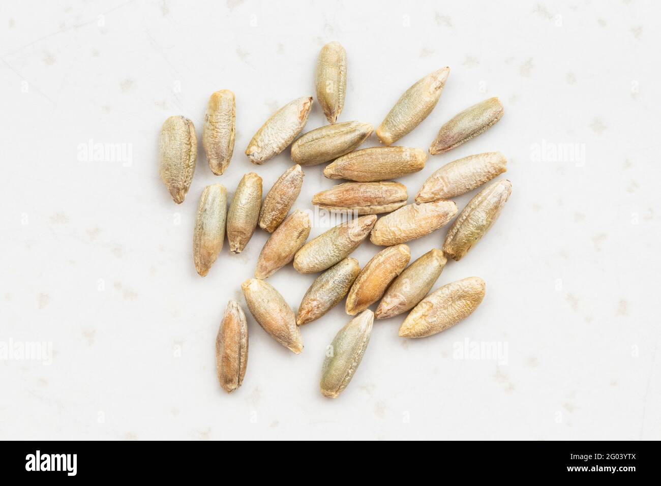 Whole kernel rye hi-res stock photography and images - Alamy
