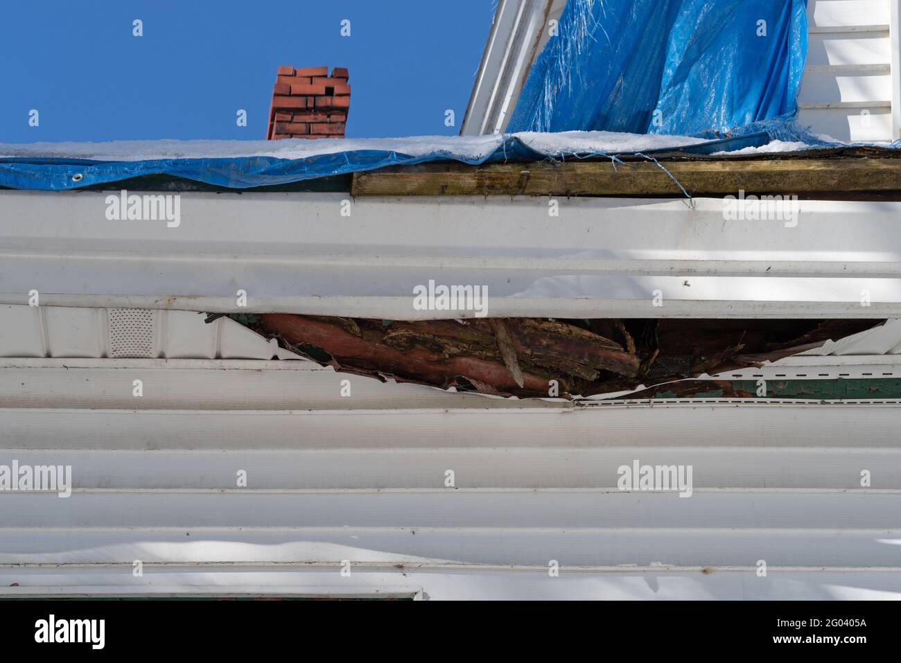 Underside of fascia on a house with wood and insulation dropping through with the roof covered with a blue tarp in the winter. Stock Photo