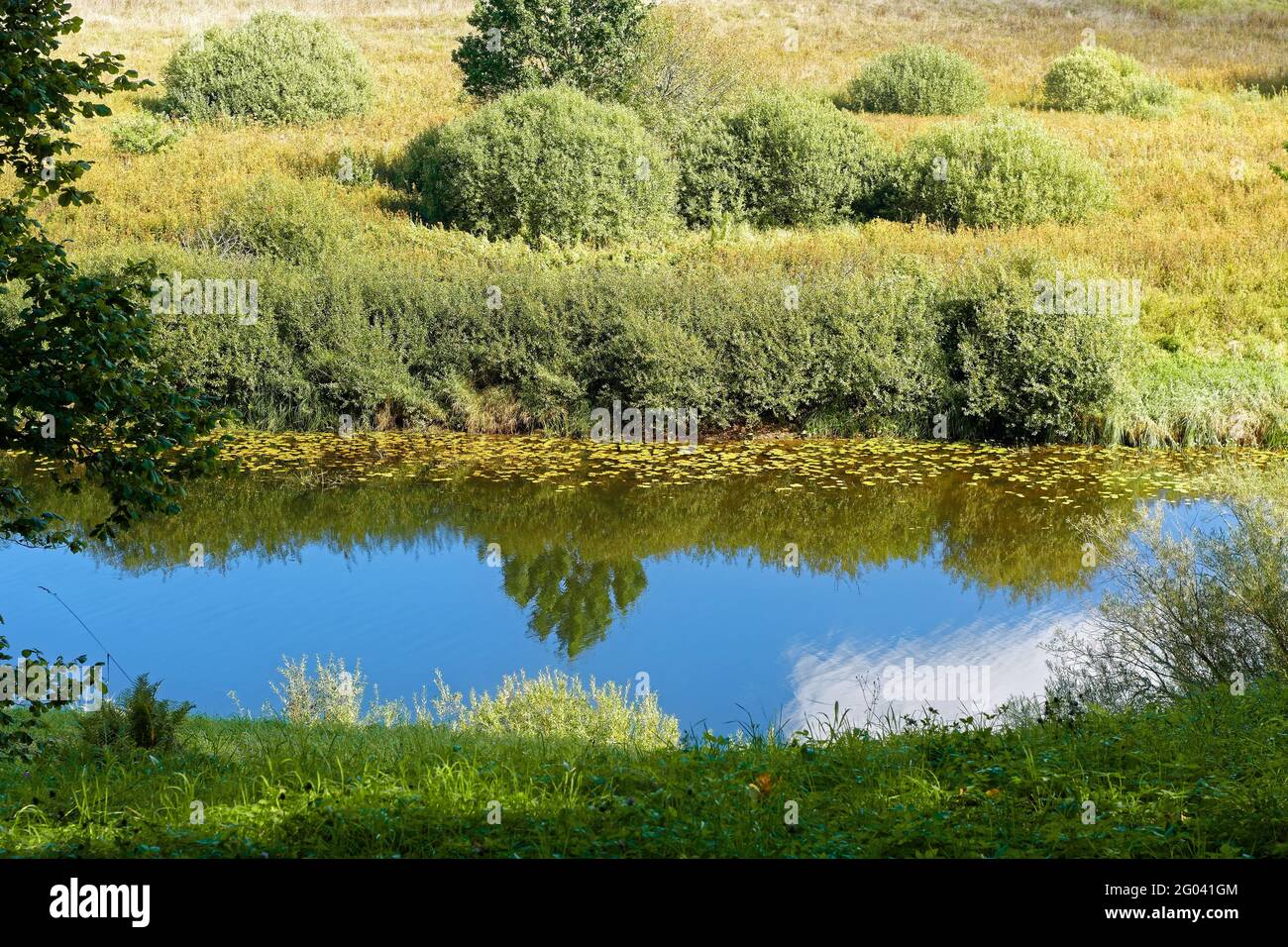 Landscape with a river, which reflects the blue sky with white clouds. Stock Photo