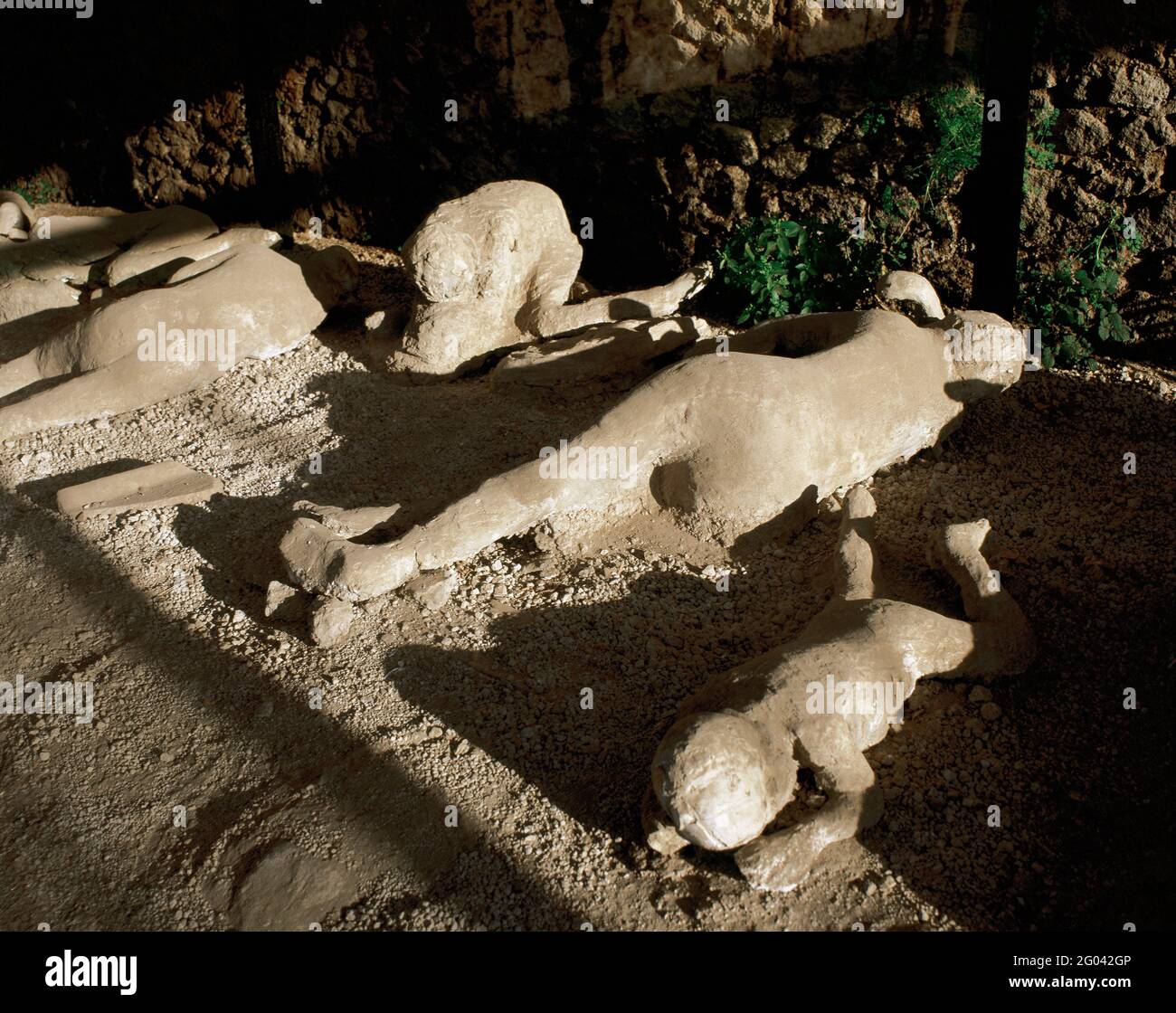 Pompeii. Fossilised corpses found in the Garden of the Fugitives. This group of Pompeian citizens was trapped at the time of the eruption of Vesuvius (79 AD). These are casts obtained by pouring liquid plaster into the 'voids' left in the ground after the bodies disappeared. Campania, Italy. Stock Photo