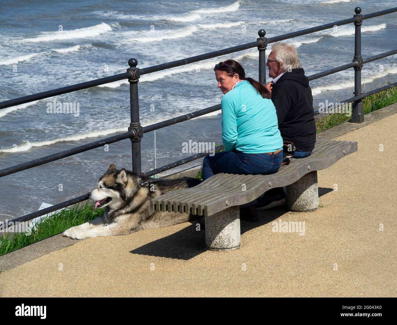 Man and a woman enjoyng a rest on the cliff top promenade at Saltburn by the Sea  with their husky dog Stock Photo