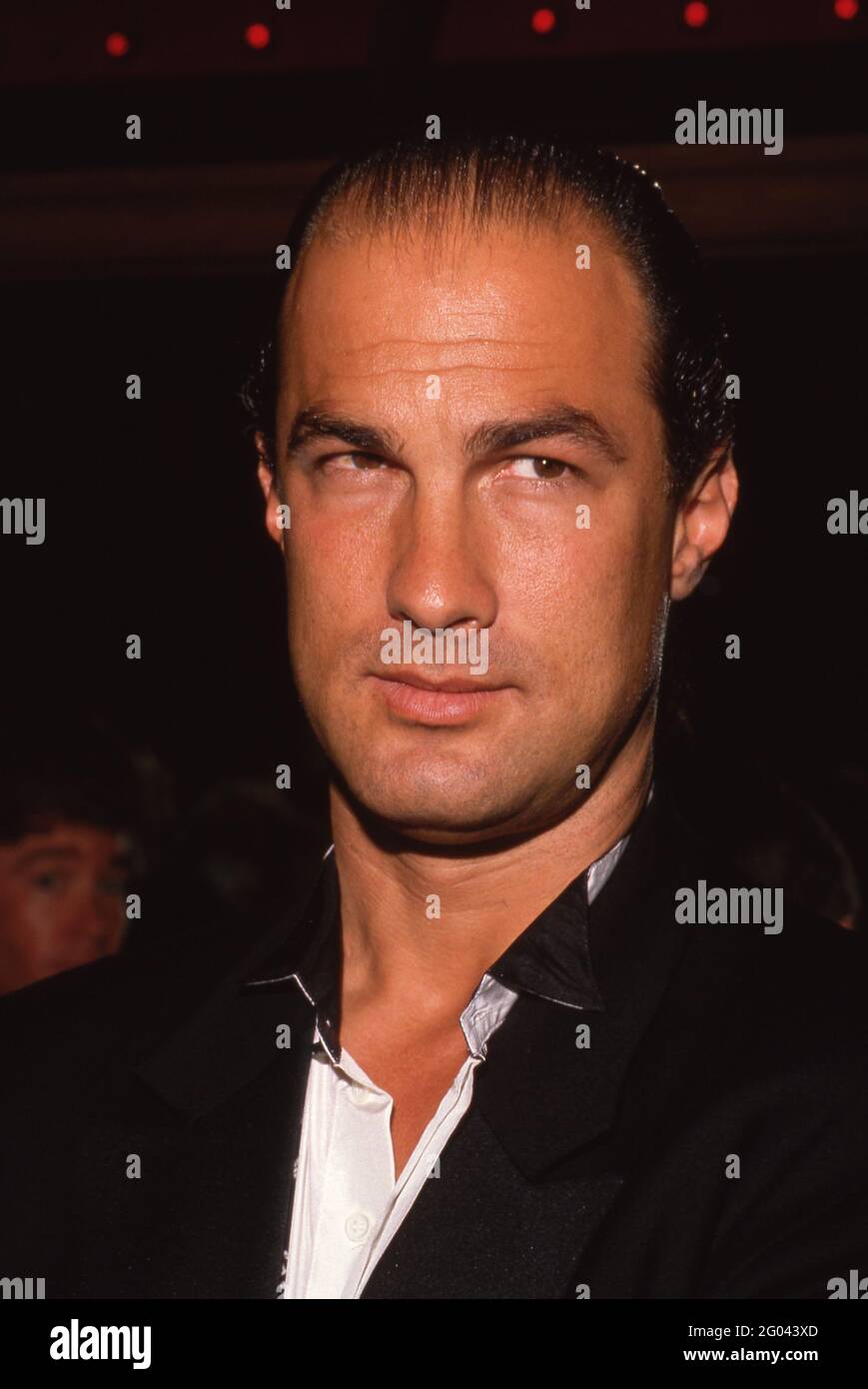 Steven Seagal at the Reception Honoring Chairman of Rai Radio ...