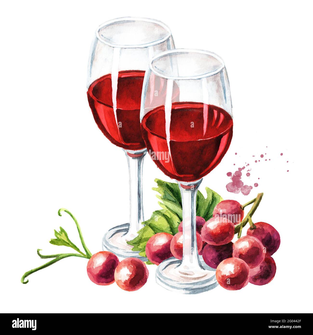Red wine glasses with vine leaves and grape berries. Hand drawn watercolor  illustration, isolated on white background Stock Photo - Alamy