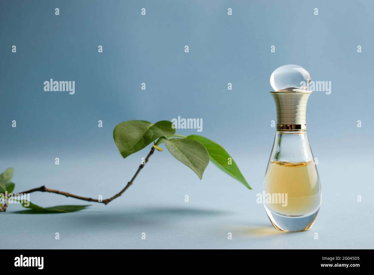 dior light blue perfume