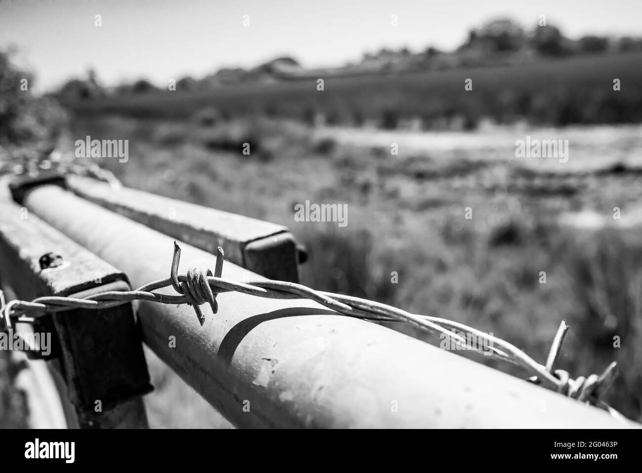 Black and White Barbed Wire in front of farmers field Stock Photo - Alamy