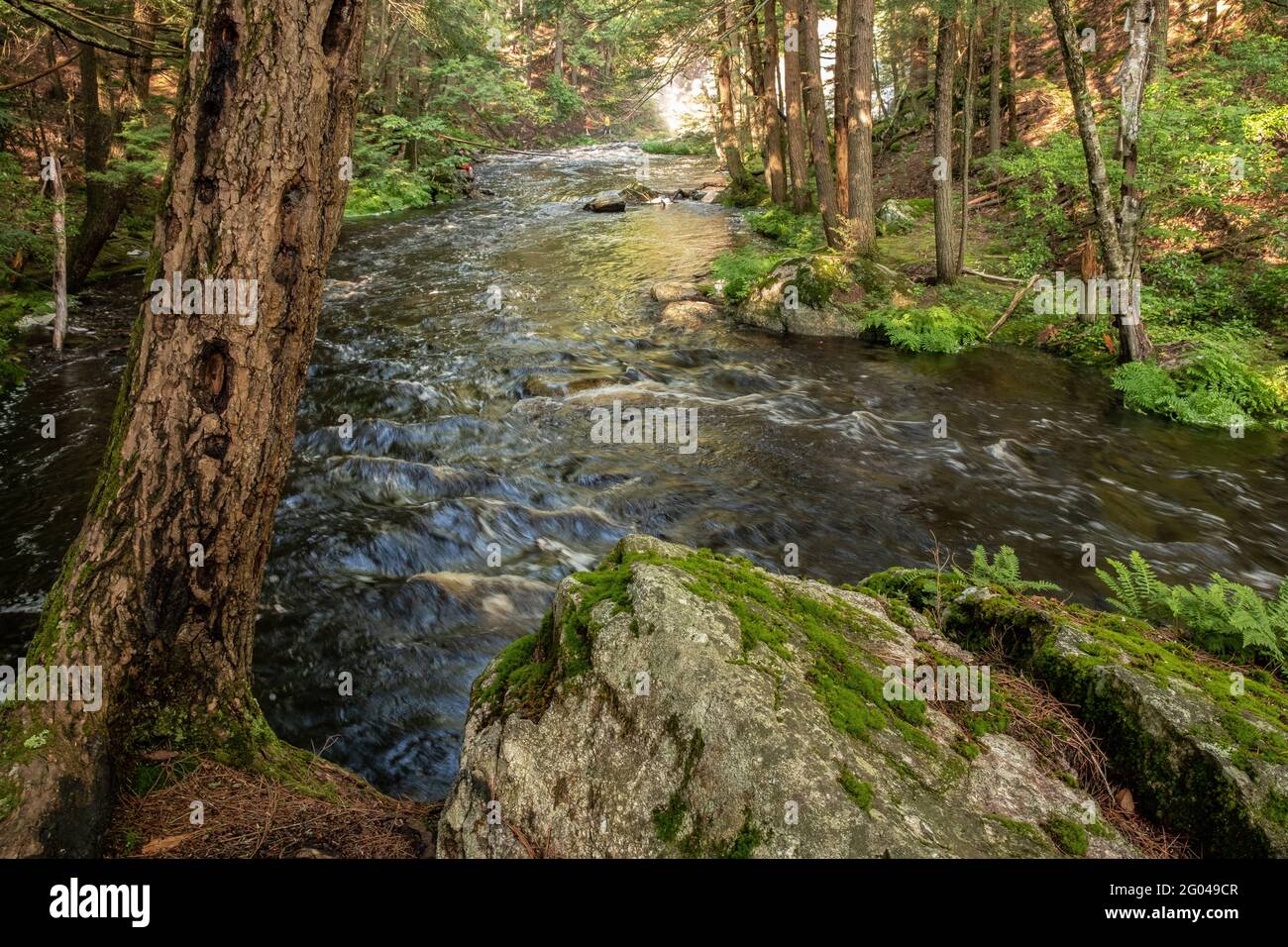 Lawrence Brook in Royalston, Massachusetts which feeds into Tully Lake
