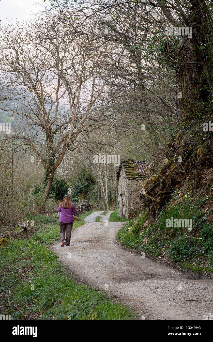 Woman walking near a stable along a path in a council of Asturias, Spain.The photograph is taken on a cloudy day and is taken in vertical format. Stock Photo
