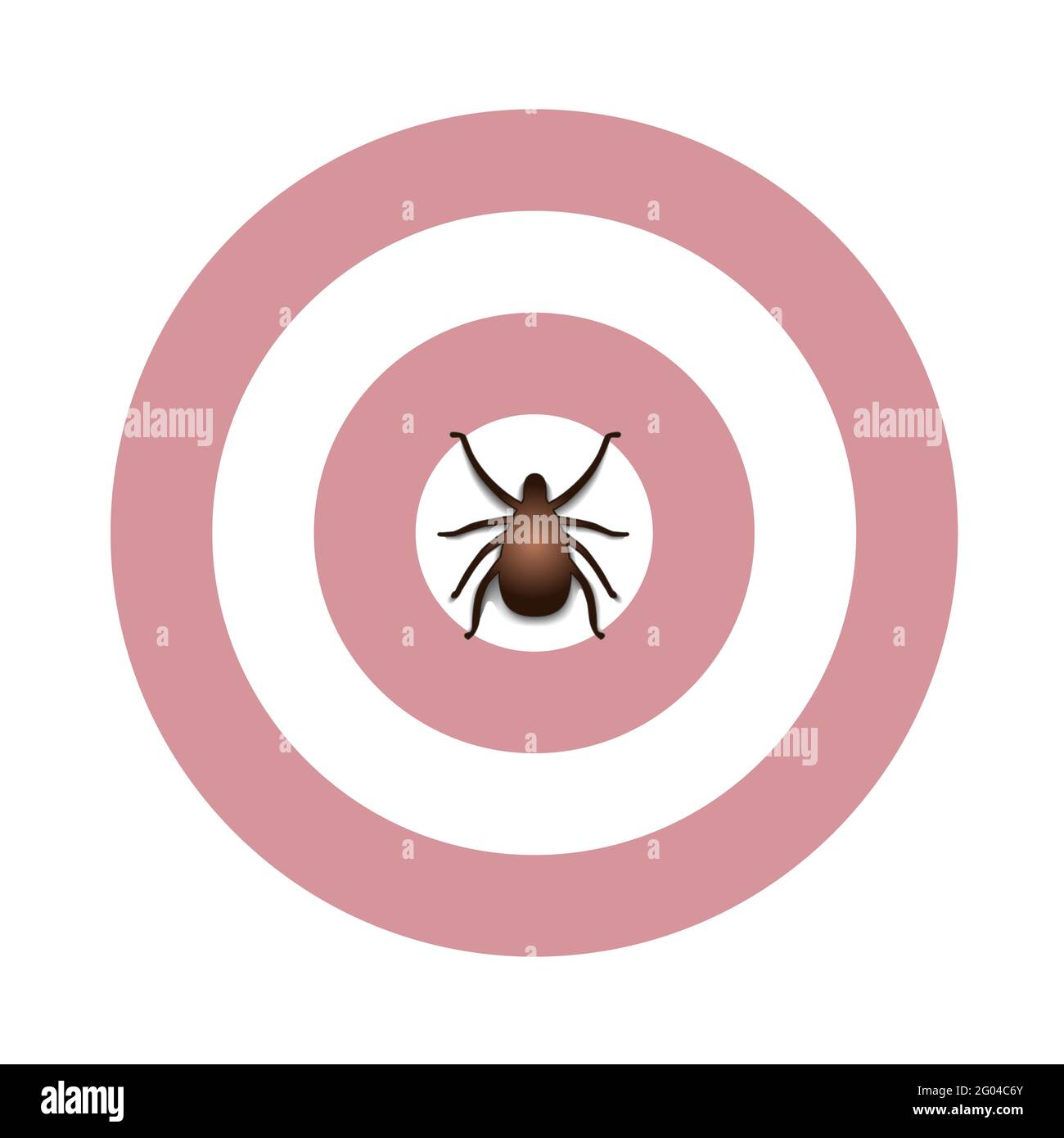 Ticks on deer hires stock photography and images Alamy
