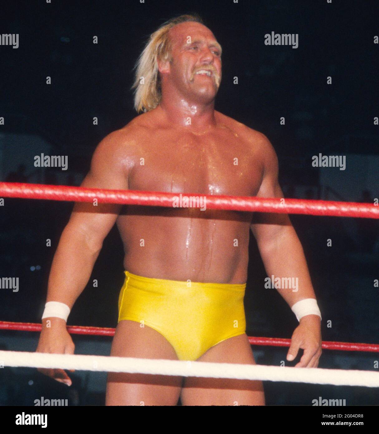 Hulk hogan 1986 hi res stock photography and images Alamy