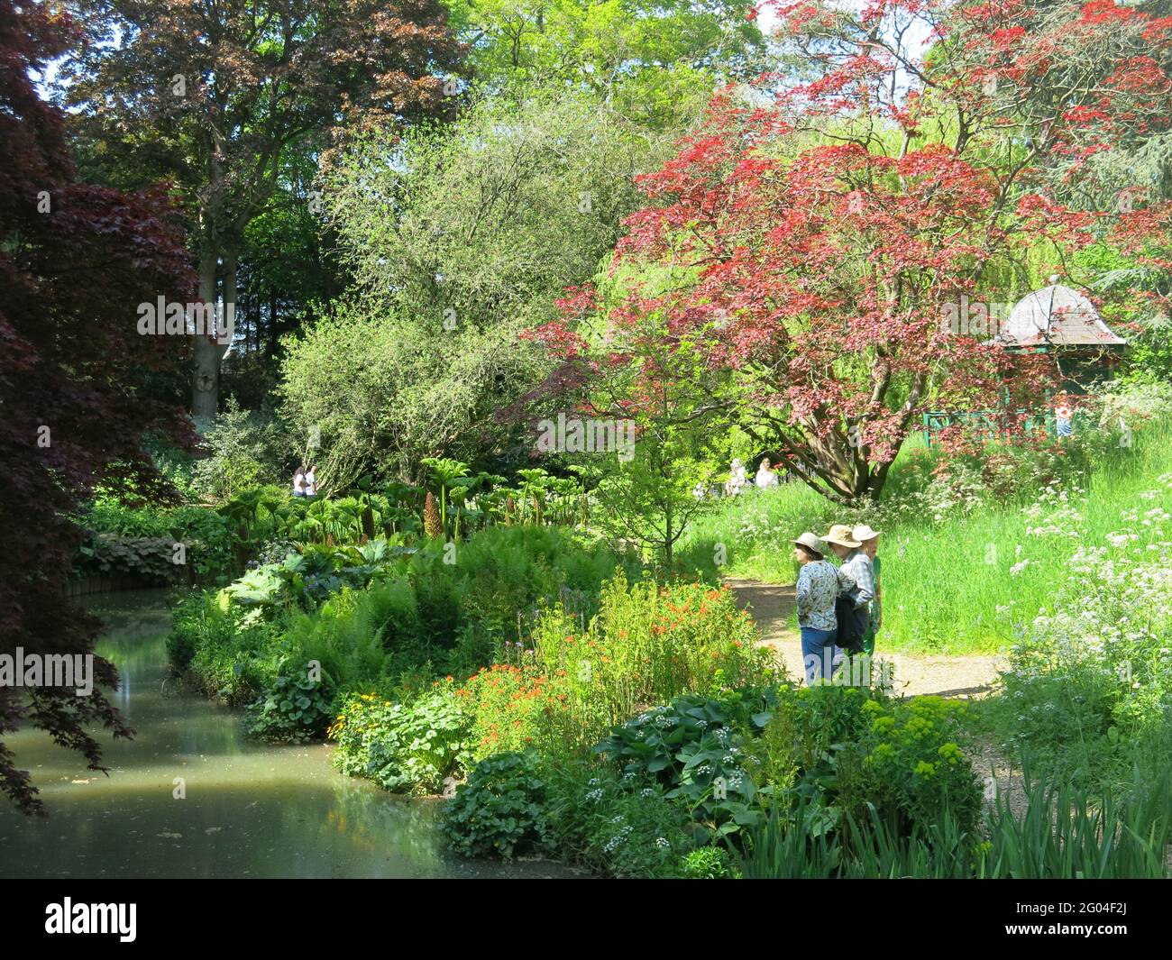 Woodland planting scheme hi-res stock photography and images - Alamy