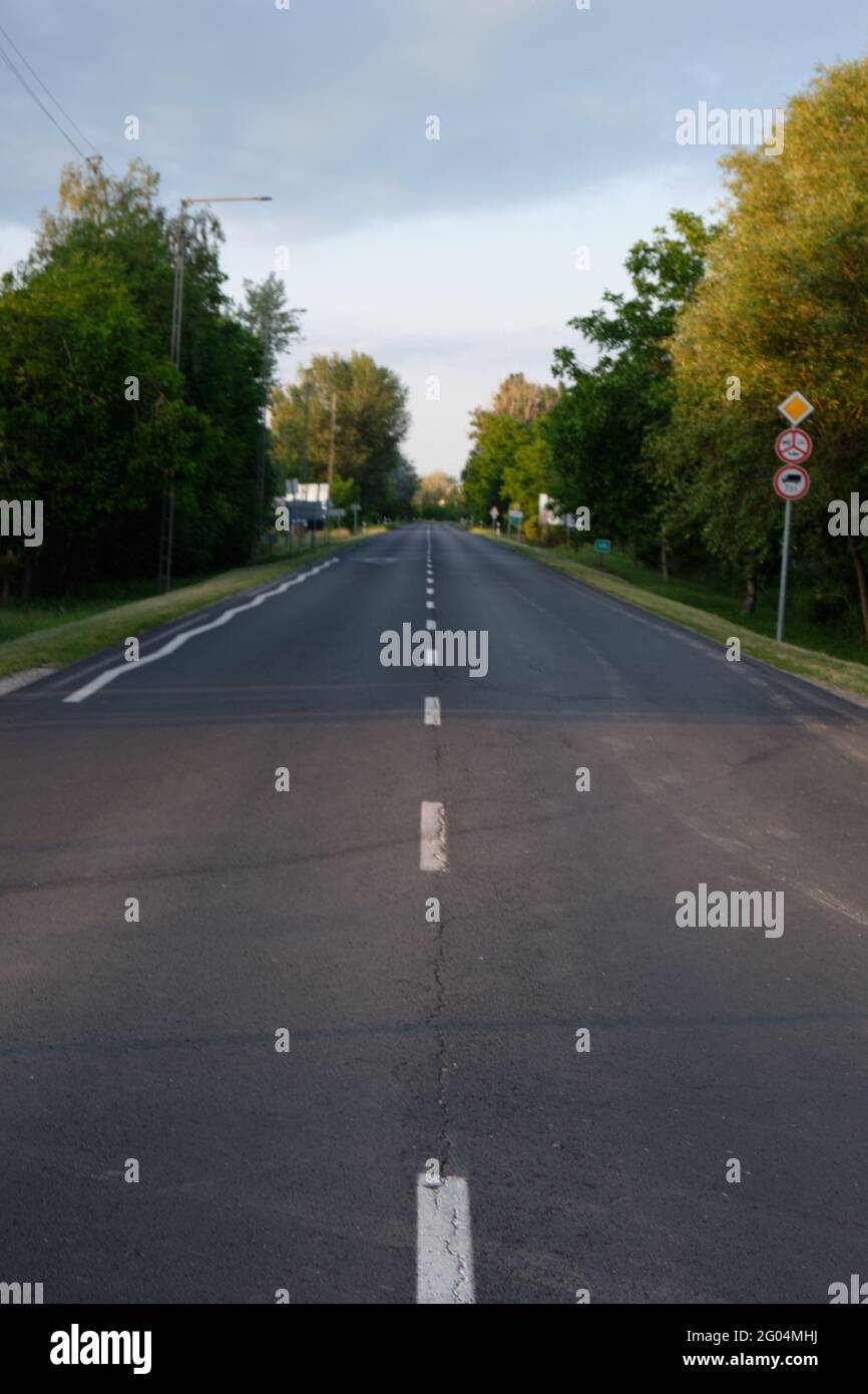 Vertical shot of a narrow street surrounded by trees Stock Photo - Alamy