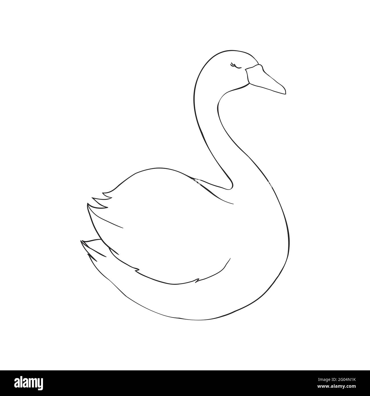 swan vector clipart coker