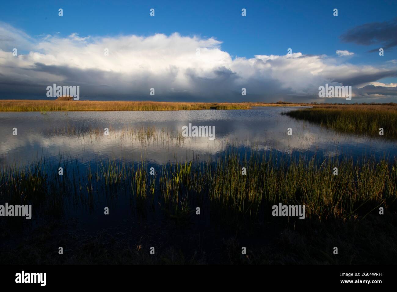 A winter storm system reflected in a freshwater marsh on the San Luis National Wildlife Refuge in California's San Joaquin Valley. Stock Photo