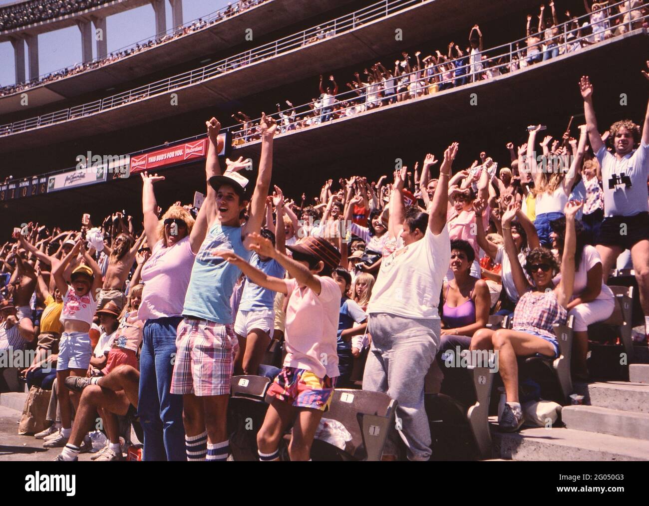 baseball fans cheering