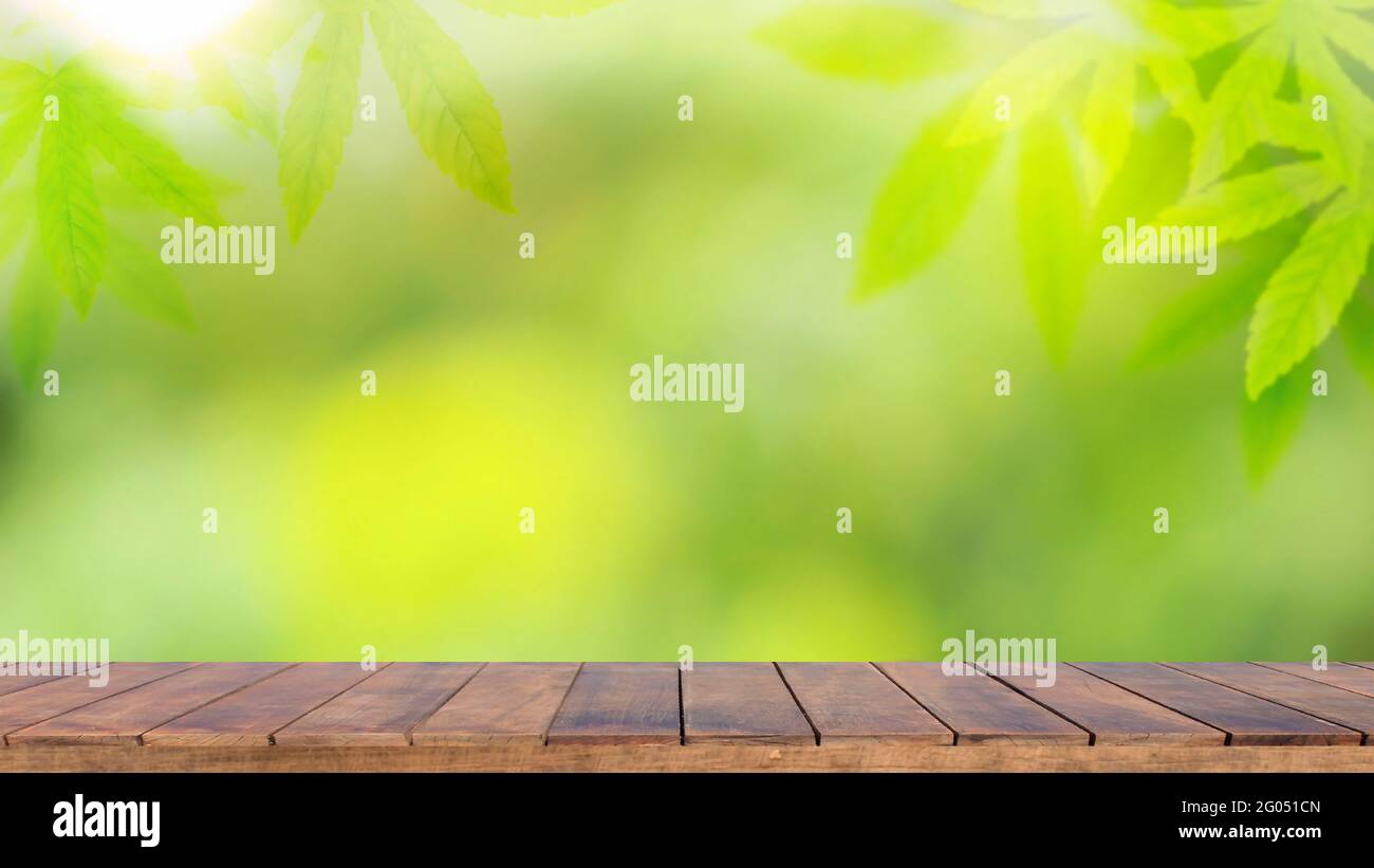 Wooden table background with cannabis leaf backdrop and blurred green nature backdrop for product display. Stock Photo