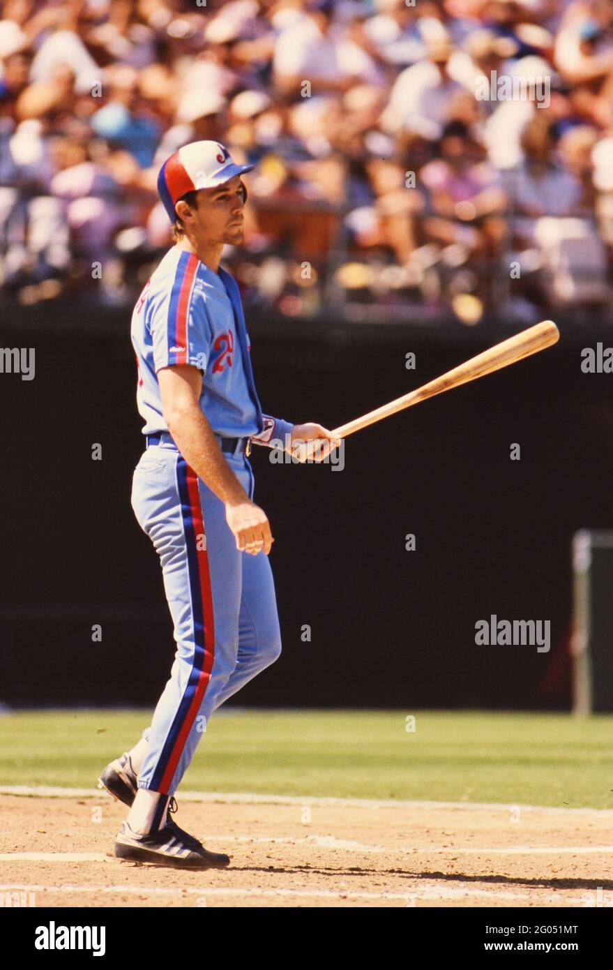 Montreal Expos baseball player Tim Wallach-- Please credit photographer Kirk Schlea Stock Photo