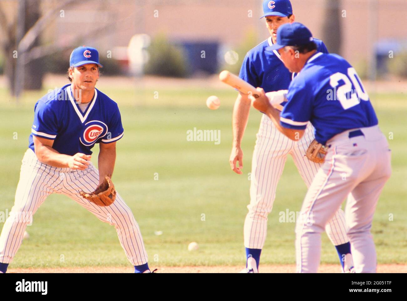 Chicago Cubs baseball players playing a game of pepper during spring  training practice -- Please credit photographer Kirk Schlea Stock Photo -  Alamy