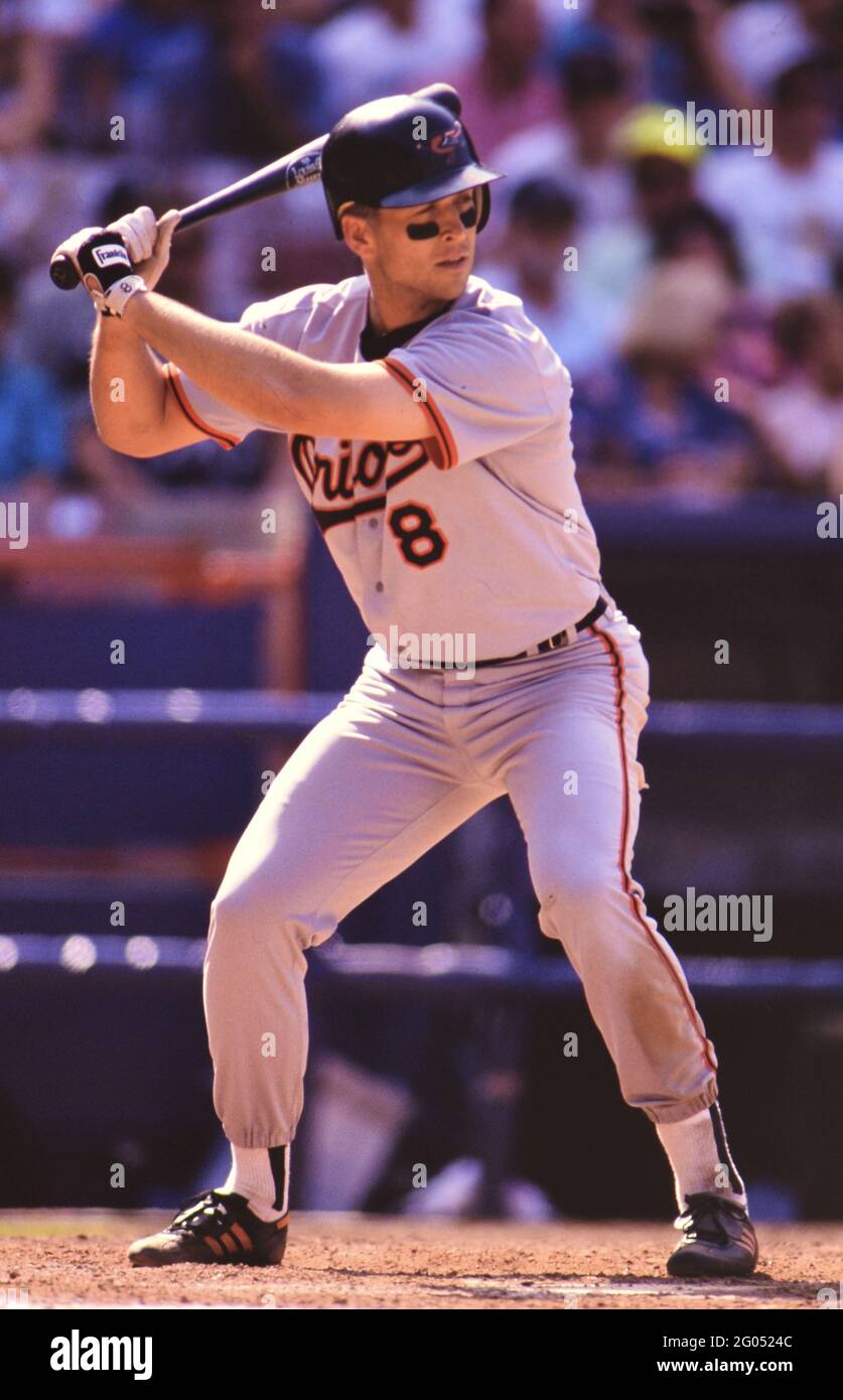 Baltimore Orioles baseball player Cal Ripken Jr. at bat -- Please credit photographer Kirk Schlea Stock Photo