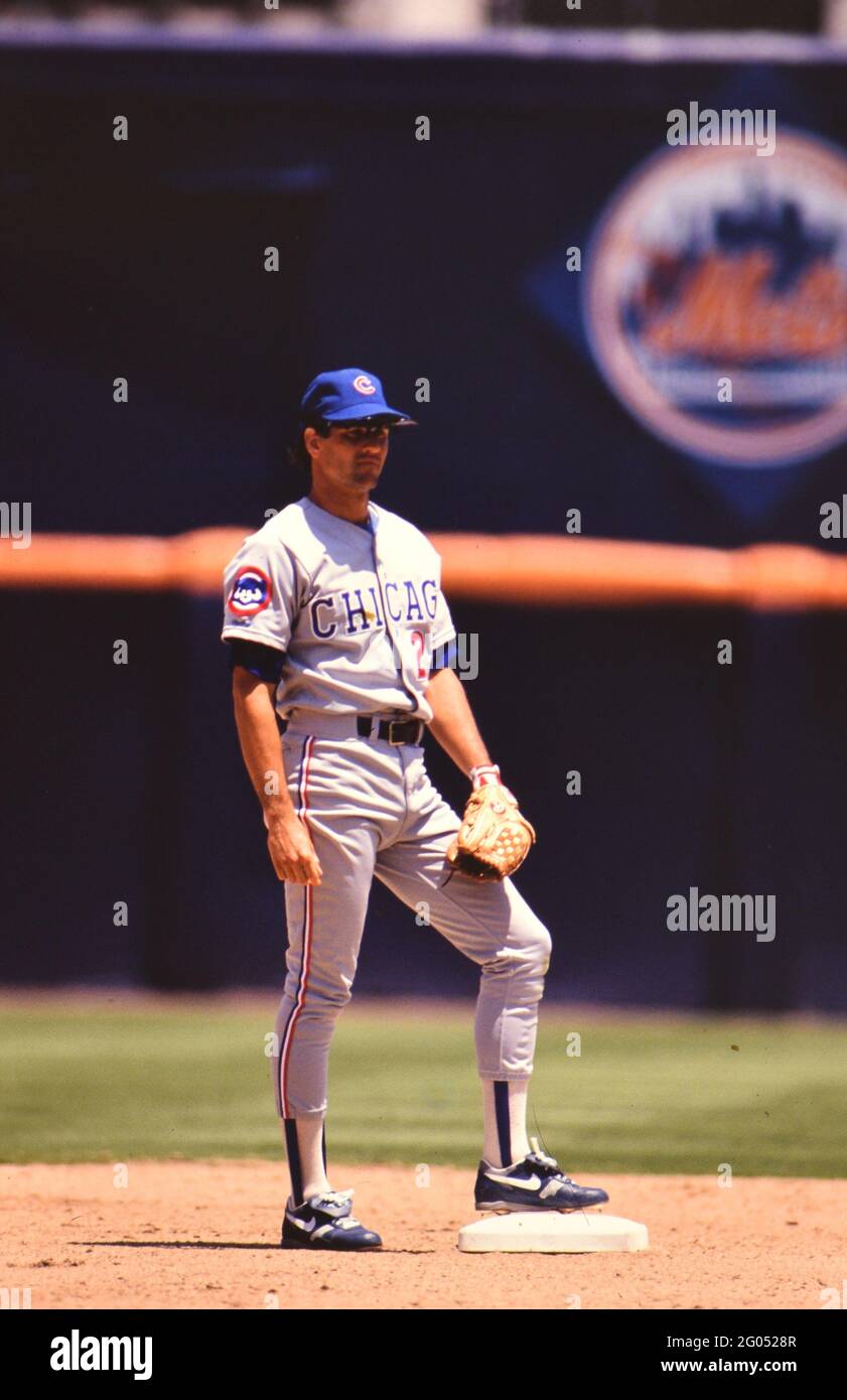 Chicago Cubs second basemen Ryne Sandberg in the field  -- Please credit photographer Kirk Schlea Stock Photo