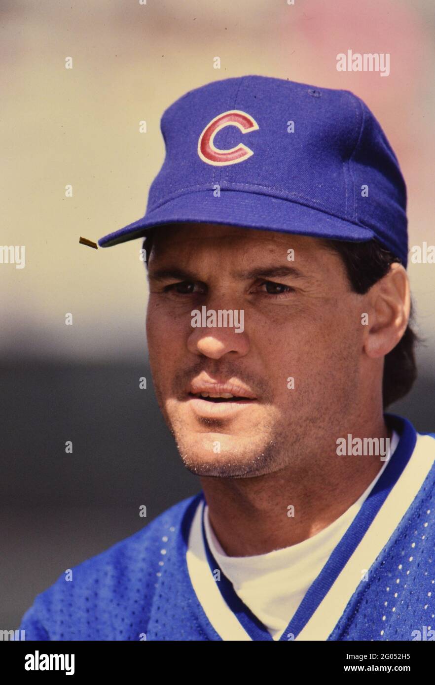 Chicago Cubs second basemen Ryne Sandberg close up -- Please credit photographer Kirk Schlea Stock Photo