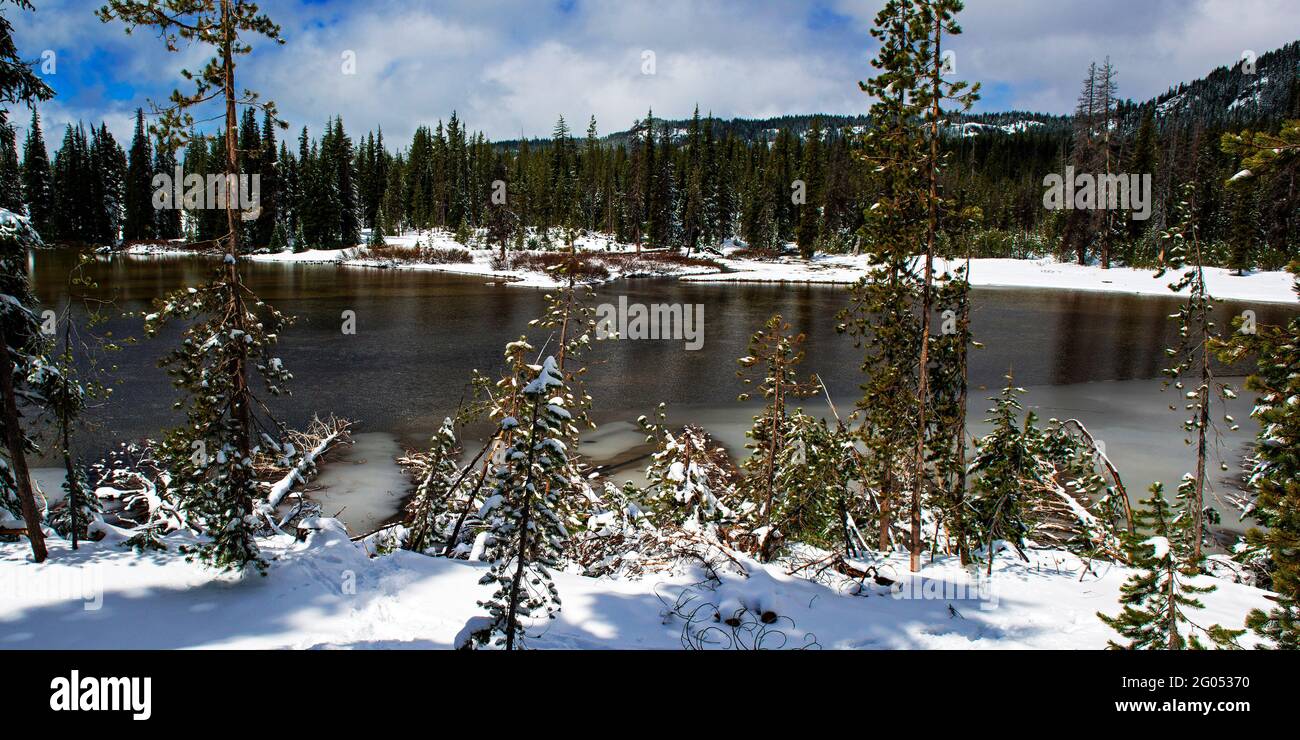 Spring Thaw at Devils Lake near Bend, Cascade Lakes Highway, Deschutes County, Oregon Stock Photo