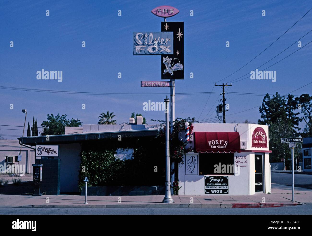 Silver fox lounge hi-res stock photography and images - Alamy