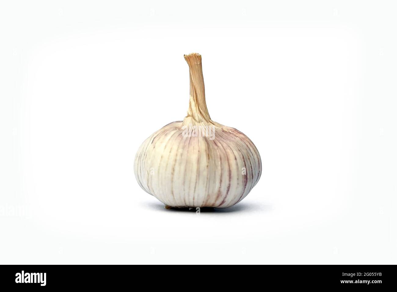 Raw garlic isolated on white background. Stock Photo