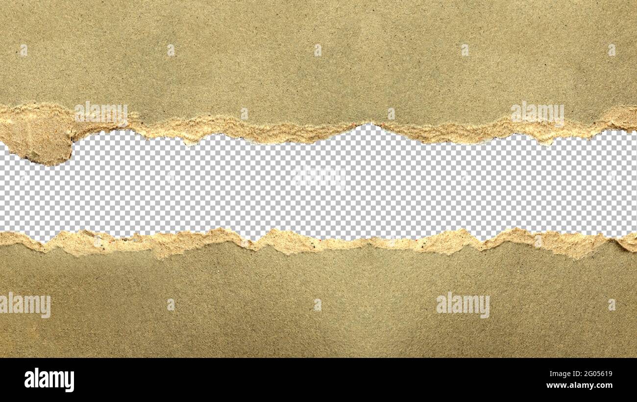 Tear off gray paper for abstract background designs and copy area. Stock Photo