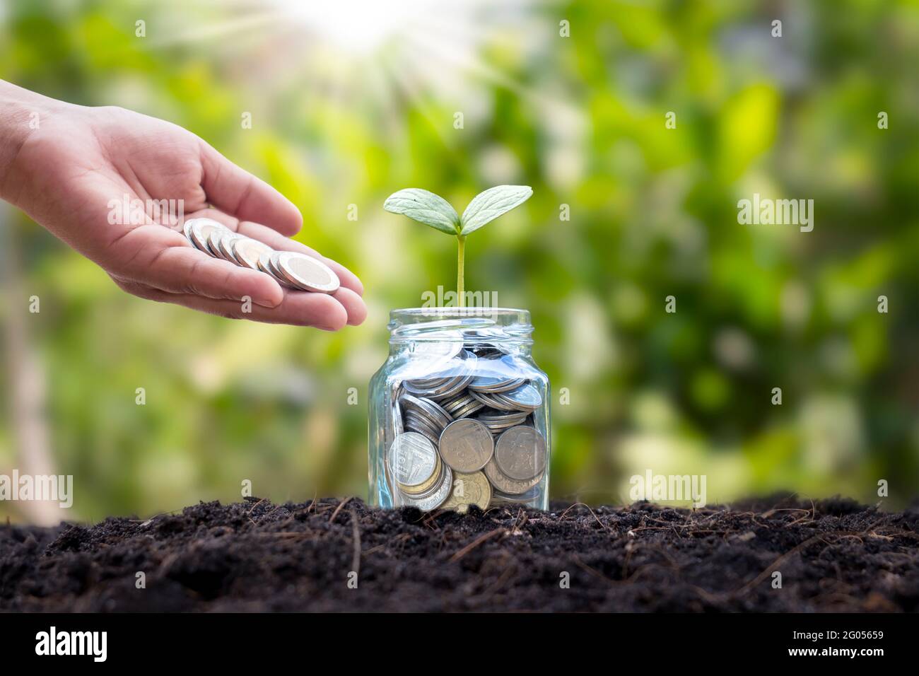 Give coins to a bottle of planted trees invested business growth ideas. Stock Photo