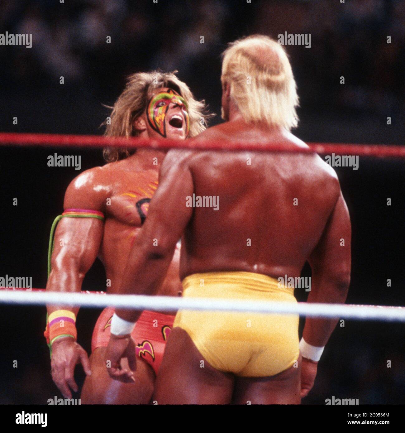 The ultimate warrior hi-res stock photography and images - Page 2 - Alamy